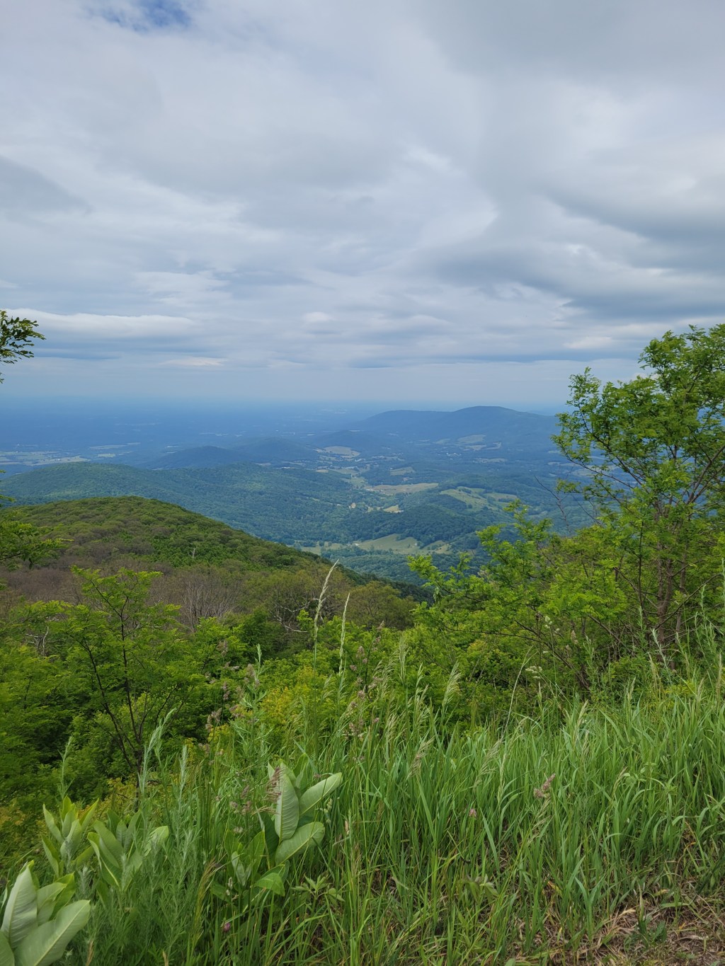 Skyline Drive