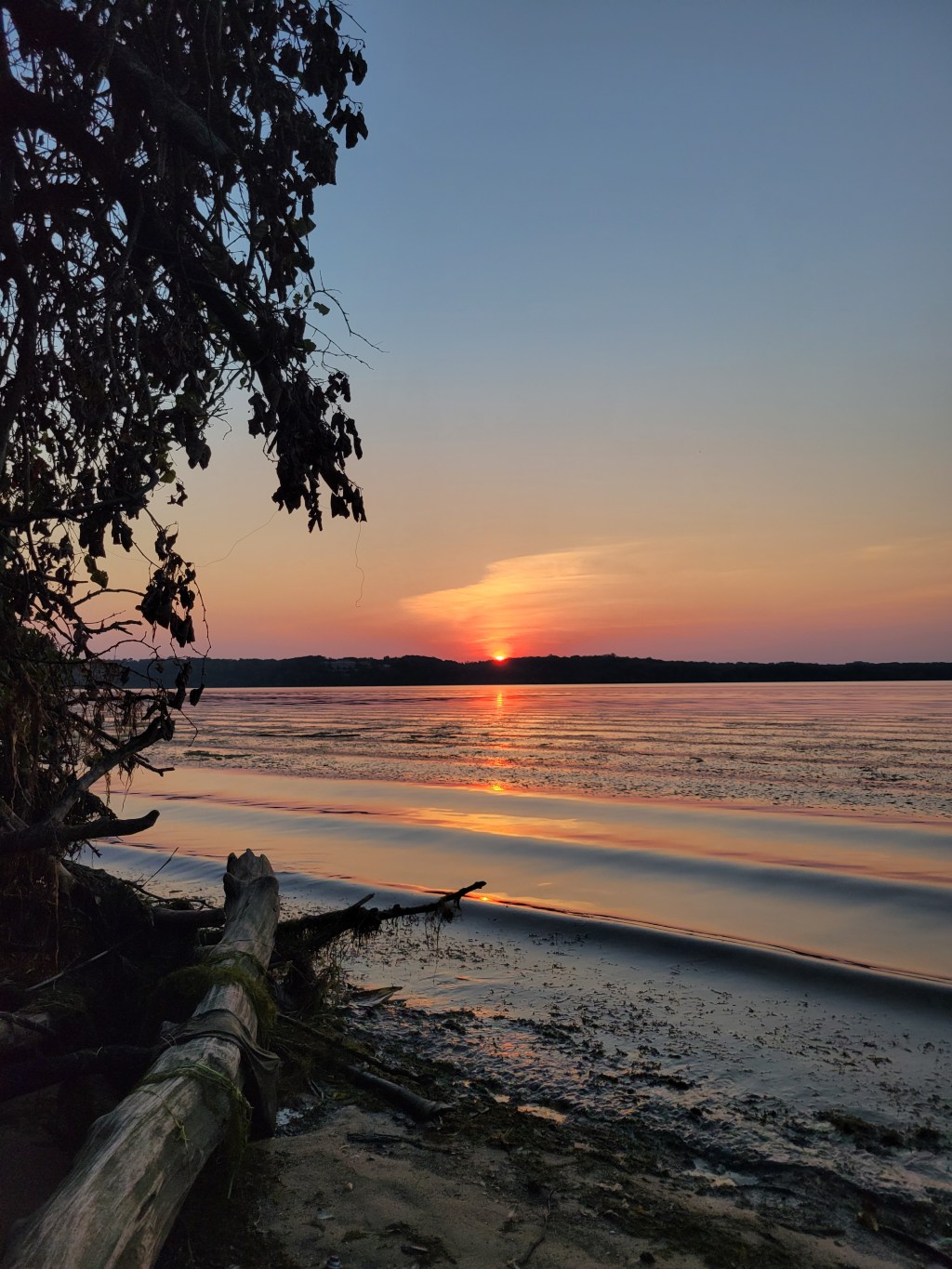 The End of the Year of&nbsp;Love